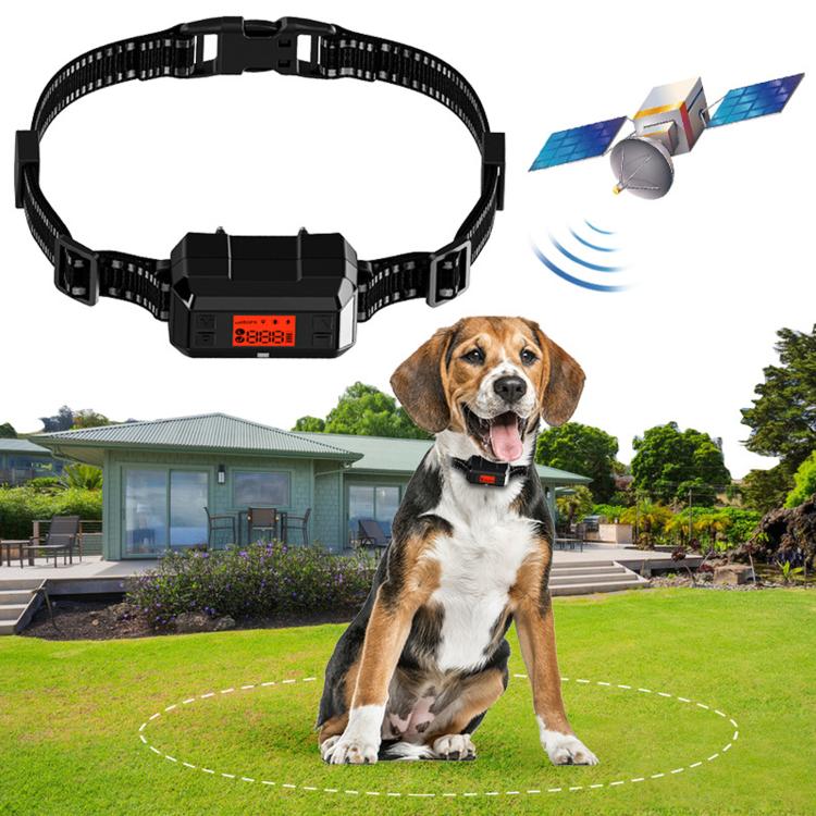 Black GPS dog training collar with adjustable strap and small digital display