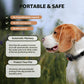 Beagle wearing a black GPS training collar with automatic memory features