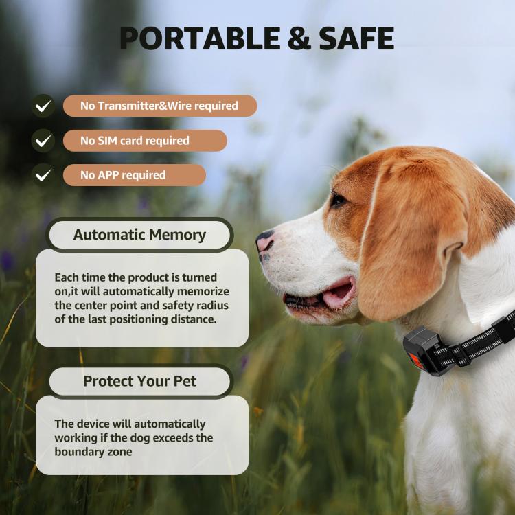 Beagle wearing a black GPS training collar with automatic memory features