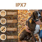 Black GPS training collar on brown and white dog with adjustable secure strap