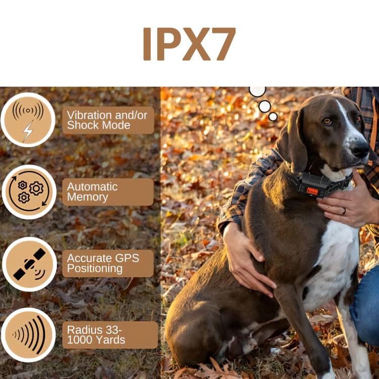 Black GPS training collar on brown and white dog with adjustable secure strap