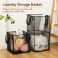 Collapsible black mesh laundry storage basket with side handles, two compartments