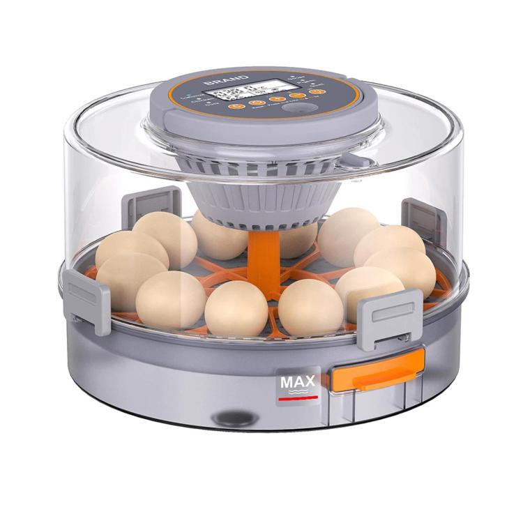 Egg incubator with clear lid, orange egg tray, and digital control panel holding eggs