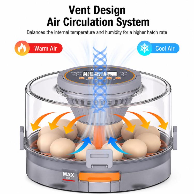 Egg incubator with airflow vents over eggs and digital controller under clear lid
