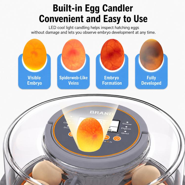 Egg incubator lid with egg-candler window and top control panel with dial