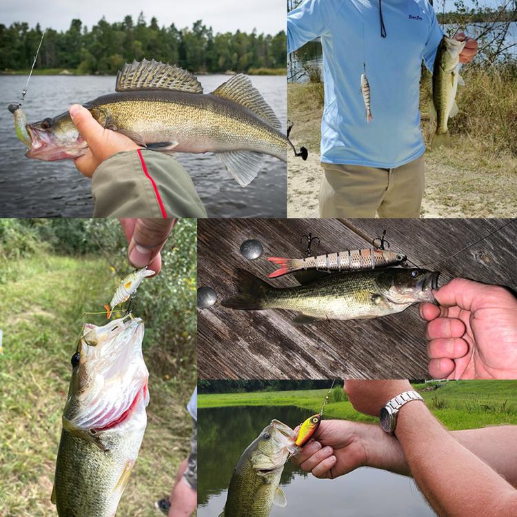 Jointed swimbait fishing lures shown with caught fish in an outdoor fishing setting