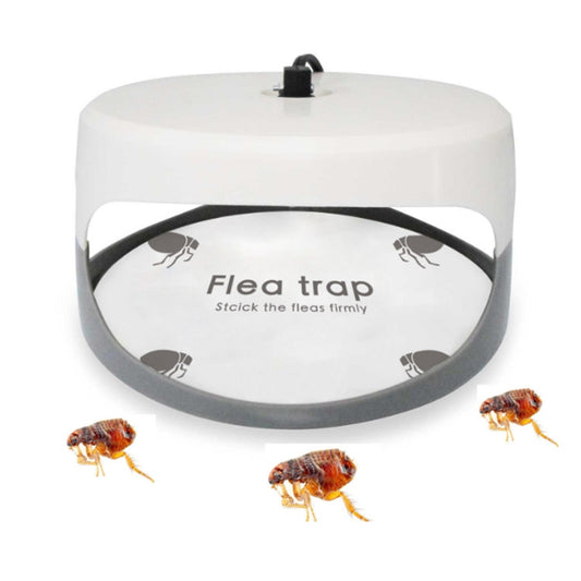 White and gray flea trap lamp with black rim and flea illustrations