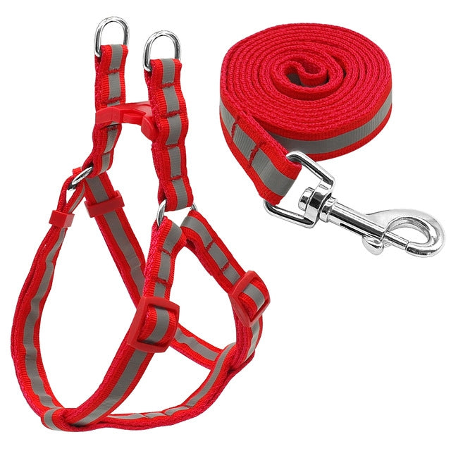 Red reflective nylon dog leash and harness set with metal clasp and coiled strap