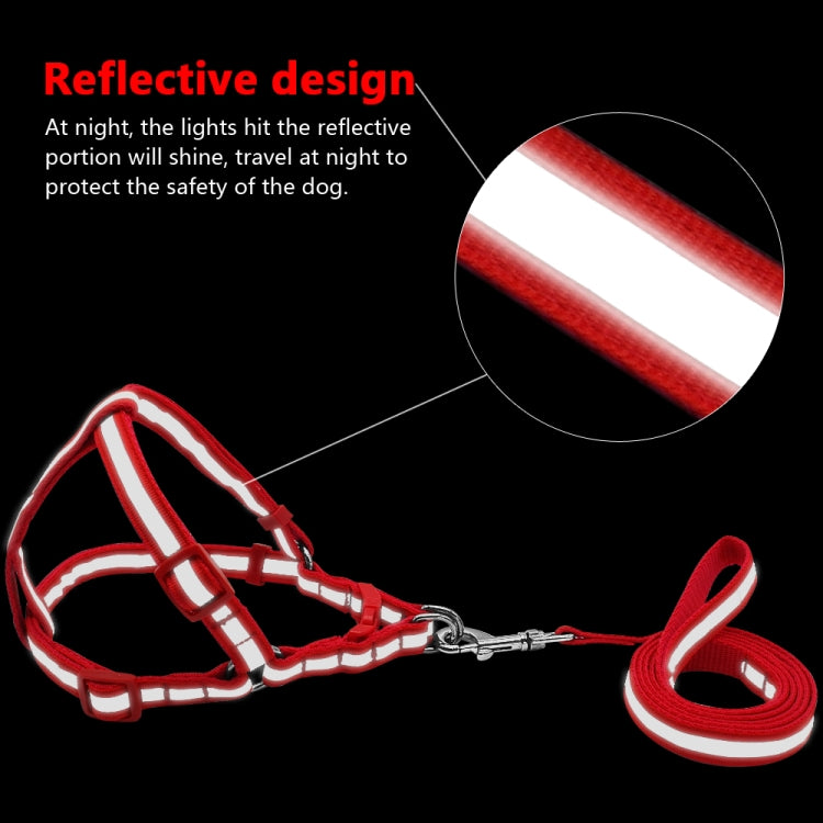 Red reflective nylon dog leash and harness with silver reflective trim