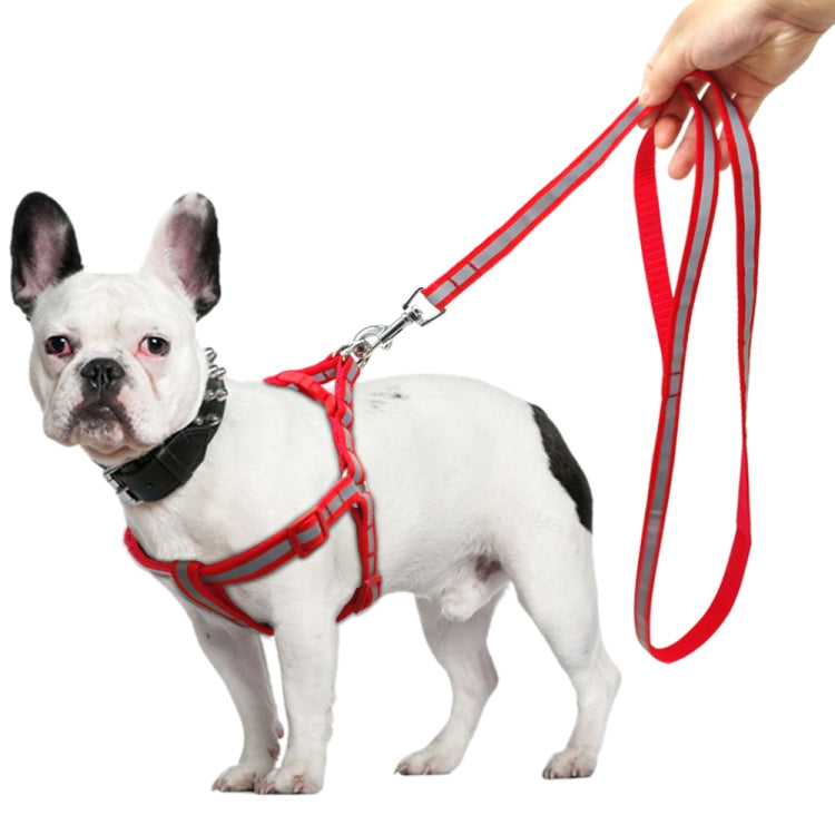 Red reflective nylon dog leash and harness on a French bulldog, leash held