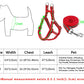 Reflective nylon dog leash and harness set with size and fit measurement chart