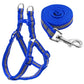 Blue reflective nylon dog leash and harness set with metal clasp and coiled strap