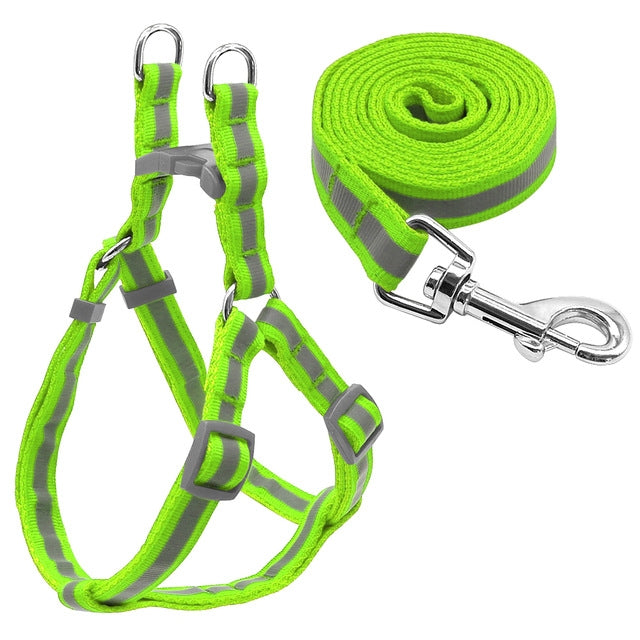 Green reflective nylon dog leash and harness set with metal clasp and coiled strap