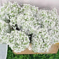Artificial baby's breath flowers in a brown planter basket with white blossoms