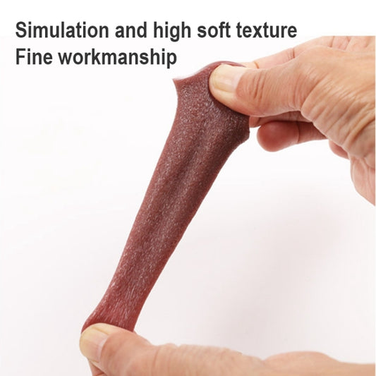 Hands holding a long reddish-brown simulation tongue prop with soft texture.