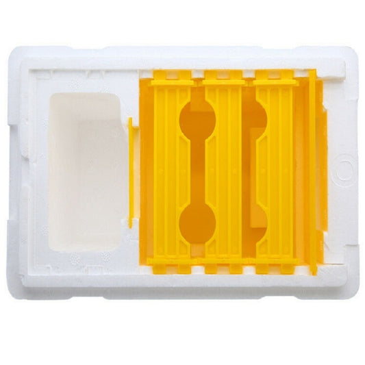 White foam pollination box interior with yellow insert and two curved compartments