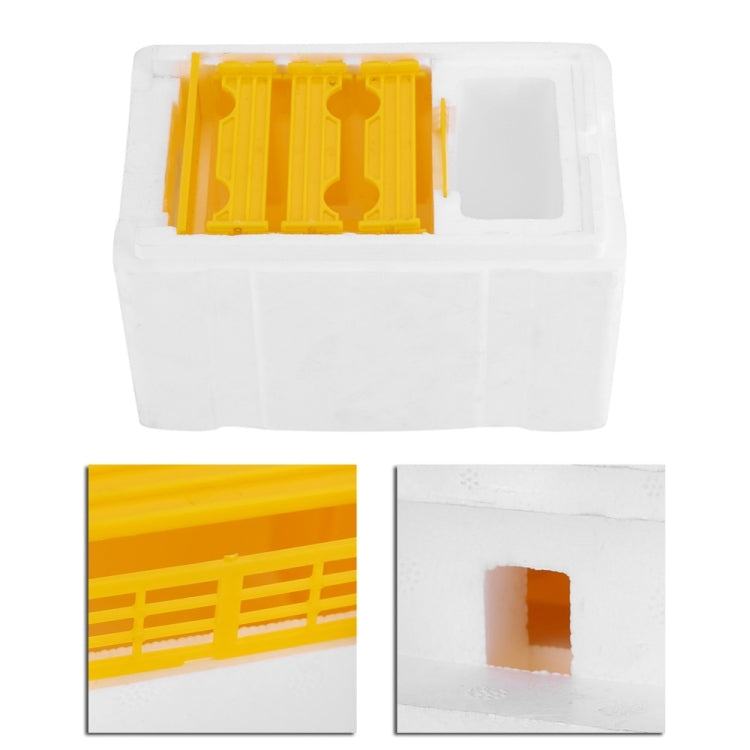 White foam pollination box with yellow comb holder and side viewing window opening
