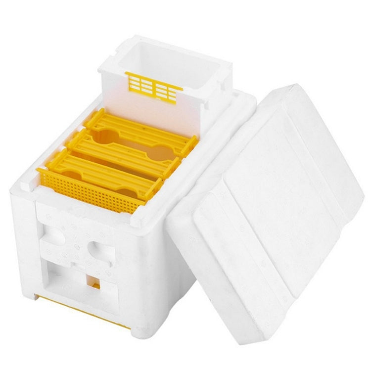 Open white foam bee breeding box with yellow tray and mesh divider panels