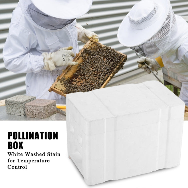 White foam pollination box in front of beekeepers holding a filled frame outdoors