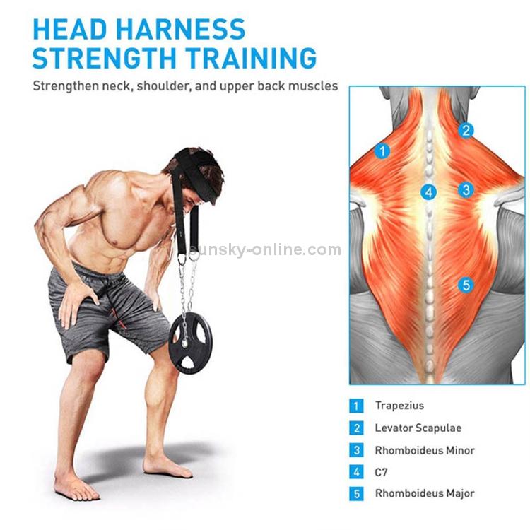 Head harness strength trainer with hanging weight ring and silver chain for training