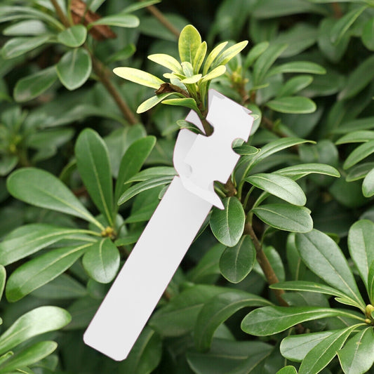 Hanging plant label, white with cutout notch and loop tag shape