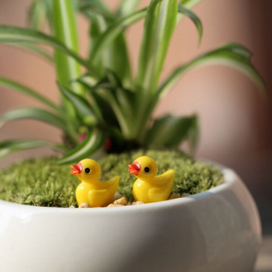 Yellow resin duck plant decoration figurines, two ducks on green moss in a pot