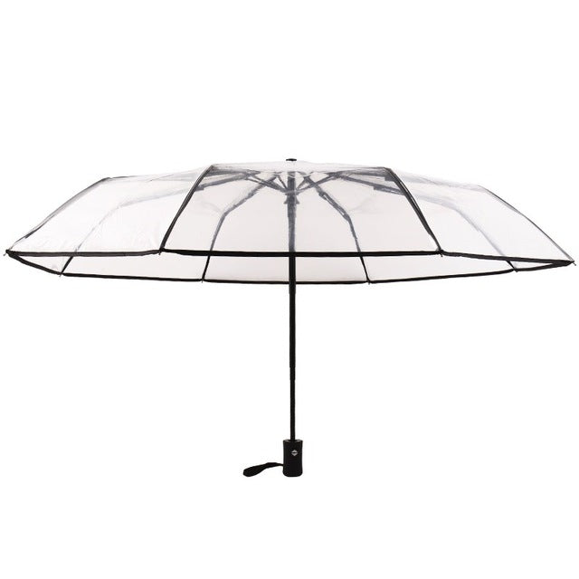 Transparent umbrella with black ribs and central pole, open canopy