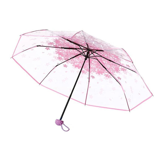 Pink transparent folding umbrella with black ribs and cherry blossom floral print