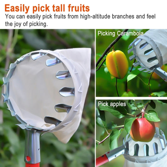 Metal fruit picker head with white fabric bag for picking from tall branches