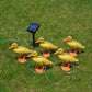 Duck-shaped solar garden lights: yellow ducks on orange stakes with small panel