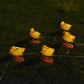 Glowing yellow duck solar lights on stakes with orange bases and connected wires