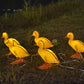 Yellow duck solar stake lights with glowing heads, orange feet, and clear connection wire