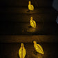 Glow-lit yellow duck solar stake lights with orange bases and connected wires
