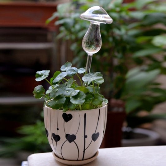 Automatic self-watering plant water feeder with clear glass mushroom top