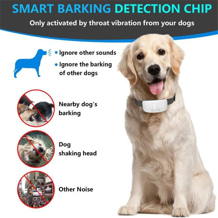 Dog bark detection training collar device with smart activation sensor for barking control