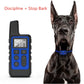 Black dog training remote receiver with blue buttons; dog wearing matching collar