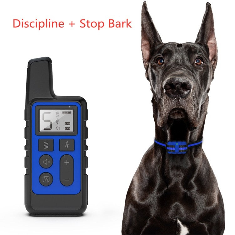 Black dog training remote receiver with blue buttons; dog wearing matching collar