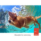Waterproof dog training collar on a dog swimming in blue water