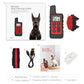 Dog training collar kit: remote, receiver collar, charging cable, and test light