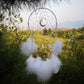 White feather dream catcher wall hanging with circular web hoop and dangling tassels