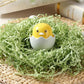 Yellow duck LED night light in white egg shell on green decorative filler