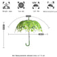 Green transparent leaf umbrella with curved J-handle, shown with size diagram
