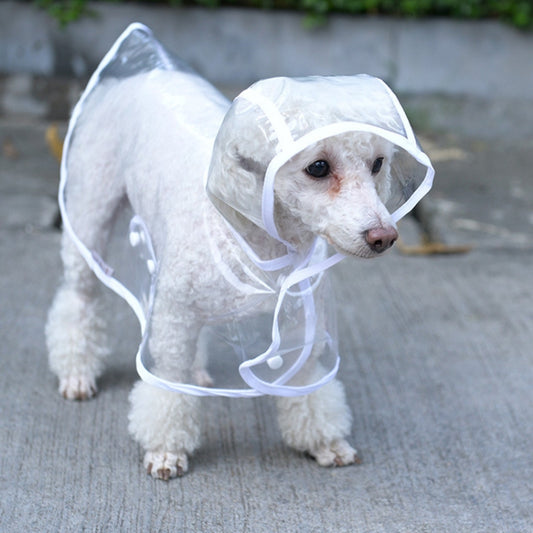 White pet dog wearing transparent hooded raincoat with tied straps