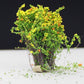 Artificial handmade model flower bush with yellow blossoms and green foliage