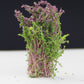 Artificial flower bush for model building, purple-pink blossoms with green foliage in pot