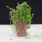Artificial flower bush for model building, bright green leaves with brown stems in pot