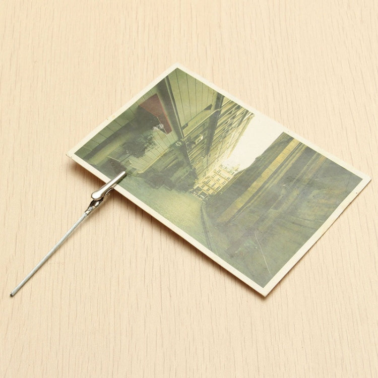 Metal wire rope alligator clip fastening a photo card