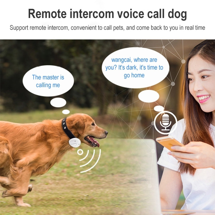 Dog with remote intercom voice call overlays and smartphone
