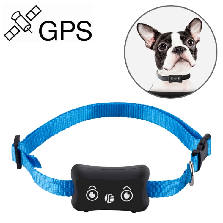 Blue pet collar with black GPS tracker module and indicator icons
