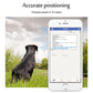 Dog beside smartphone displaying pet GPS accurate positioning monitor screen.